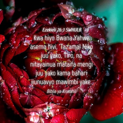 Picture 04 - Ezekieli 26:3 SWHULB - Kwa hiyo Bwana Yahwe asema hivi, 'Tazama! Niko - Bible Verse Picture