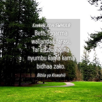 Picture 04 - Ezekieli 27:14 SWHULB - Beth Togarma waliandaa farasi, farasi dume, na - Bible Verse Picture