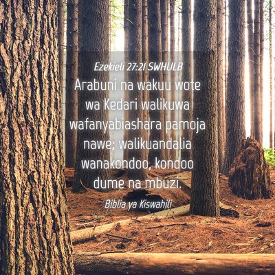 Picture 04 - Ezekieli 27:21 SWHULB - Arabuni na wakuu wote wa Kedari walikuwa - Bible Verse Picture