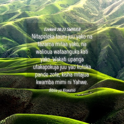 Picture 04 - Ezekieli 28:23 SWHULB - Nitapeleka tauni juu yako na tazama mitaa yako, - Bible Verse Picture