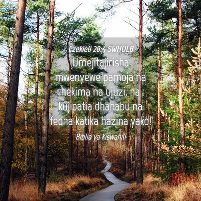 Picture 04 - Ezekieli 28:4 SWHULB - Umejitajirisha mwenyewe pamoja na hekima na - Bible Verse Picture
