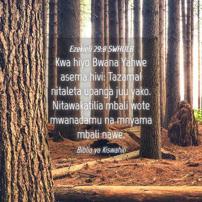 Picture 04 - Ezekieli 29:8 SWHULB - Kwa hiyo Bwana Yahwe asema hivi: Tazama! nitaleta - Bible Verse Picture
