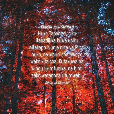 Picture 04 - Ezekieli 30:18 SWHULB - Huko Tapanesi, siku itabadilika kuwa usiku - Bible Verse Picture