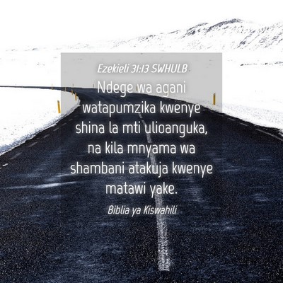Picture 04 - Ezekieli 31:13 SWHULB - Ndege wa agani watapumzika kwenye shina la mti - Bible Verse Picture