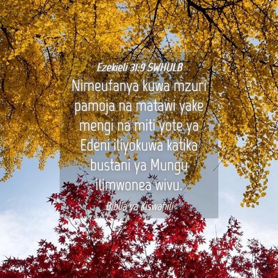 Picture 04 - Ezekieli 31:9 SWHULB - Nimeufanya kuwa mzuri pamoja na matawi yake mengi - Bible Verse Picture