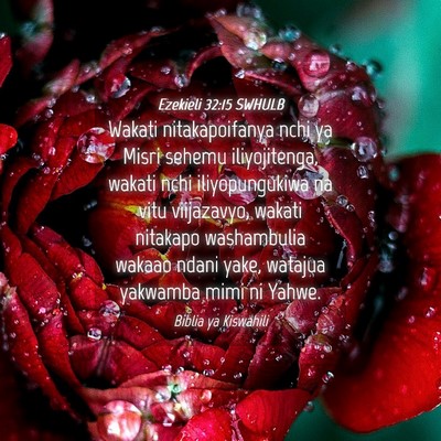 Picture 04 - Ezekieli 32:15 SWHULB - Wakati nitakapoifanya nchi ya Misri sehemu - Bible Verse Picture