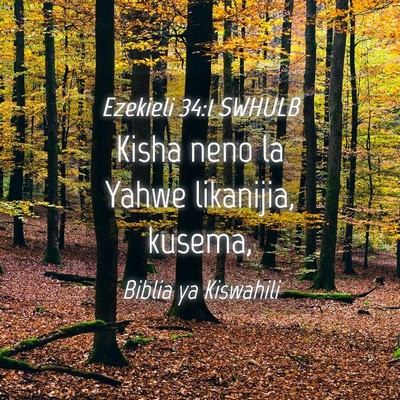 Picture 04 - Ezekieli 34:1 SWHULB - Kisha neno la Yahwe likanijia, - Bible Verse Picture