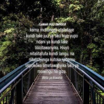 Picture 04 - Ezekieli 34:12 SWHULB - kama mchungaji atafutaye kundi lake juu ya siku - Bible Verse Picture