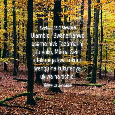 Picture 04 - Ezekieli 35:3 SWHULB - Uiambie, 'Bwana Yahwe asema hivi: Tazama! ni juu - Bible Verse Picture