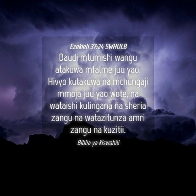 Picture 04 - Ezekieli 37:24 SWHULB - Daudi mtumishi wangu atakuwa mfalme juu yao. - Bible Verse Picture
