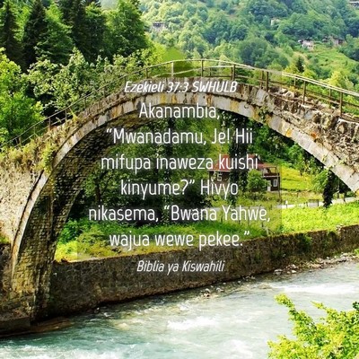 Picture 04 - Ezekieli 37:3 SWHULB - Akanambia, “Mwanadamu, Je! Hii mifupa inaweza - Bible Verse Picture