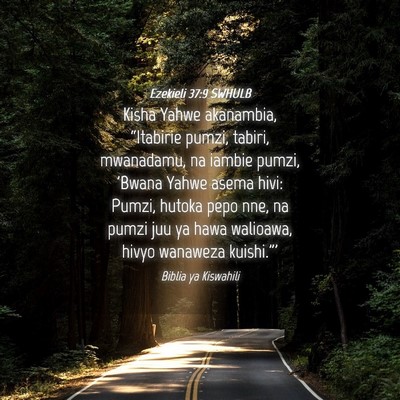 Picture 04 - Ezekieli 37:9 SWHULB - Kisha Yahwe akanambia, “Itabirie pumzi, tabiri, - Bible Verse Picture