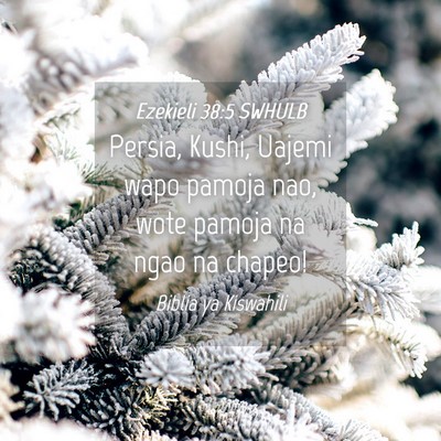 Picture 04 - Ezekieli 38:5 SWHULB - Persia, Kushi, Uajemi wapo pamoja nao, wote - Bible Verse Picture