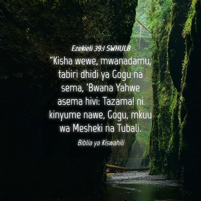 Picture 04 - Ezekieli 39:1 SWHULB - “Kisha wewe, mwanadamu, tabiri dhidi ya Gogu na - Bible Verse Picture