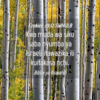 Picture 04 - Ezekieli 39:12 SWHULB - Kwa muda wa siku saba nyumba ya Israeli itawazika - Bible Verse Picture