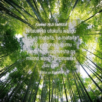 Picture 04 - Ezekieli 39:21 SWHULB - Nitauweka utukufu wangu kati ya mataifa, na - Bible Verse Picture