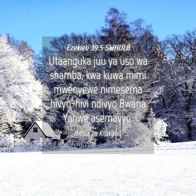 Picture 04 - Ezekieli 39:5 SWHULB - Utaanguka juu ya uso wa shamba, kwa kuwa mimi - Bible Verse Picture