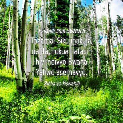 Picture 04 - Ezekieli 39:8 SWHULB - Tazama! Siku inakuja, na itachukua nafasi-hivi - Bible Verse Picture