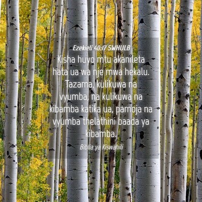 Picture 04 - Ezekieli 40:17 SWHULB - Kisha huyo mtu akanileta hata ua wa nje mwa - Bible Verse Picture