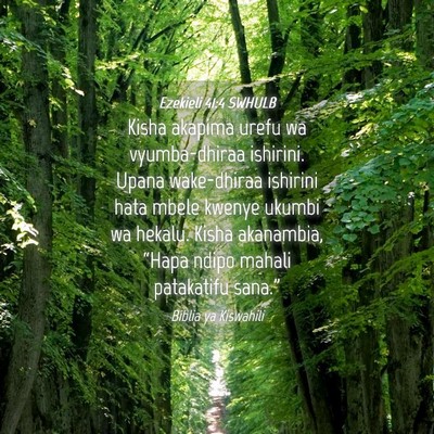 Picture 04 - Ezekieli 41:4 SWHULB - Kisha akapima urefu wa vyumba-dhiraa ishirini. - Bible Verse Picture