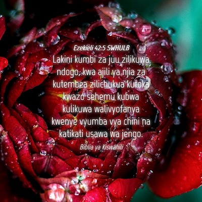 Picture 04 - Ezekieli 42:5 SWHULB - Lakini kumbi za juu zilikuwa ndogo, kwa ajili ya - Bible Verse Picture