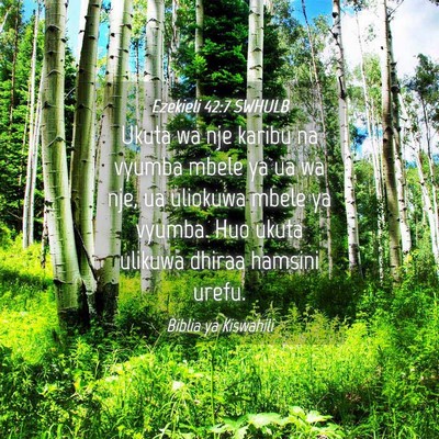 Picture 04 - Ezekieli 42:7 SWHULB - Ukuta wa nje karibu na vyumba mbele ya ua wa nje, - Bible Verse Picture