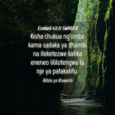 Picture 04 - Ezekieli 43:21 SWHULB - Kisha chukua ng'ombe kama sadaka ya dhambi na - Bible Verse Picture