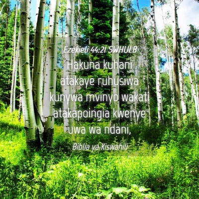 Picture 04 - Ezekieli 44:21 SWHULB - Hakuna kuhani atakaye ruhusiwa kunywa mvinyo - Bible Verse Picture