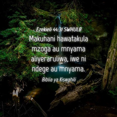 Picture 04 - Ezekieli 44:31 SWHULB - Makuhani hawatakula mzoga au mnyama - Bible Verse Picture