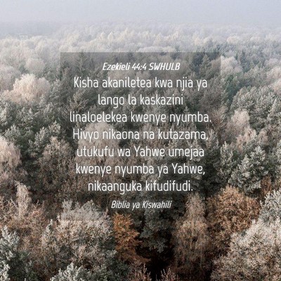 Picture 04 - Ezekieli 44:4 SWHULB - Kisha akaniletea kwa njia ya lango la kaskazini - Bible Verse Picture