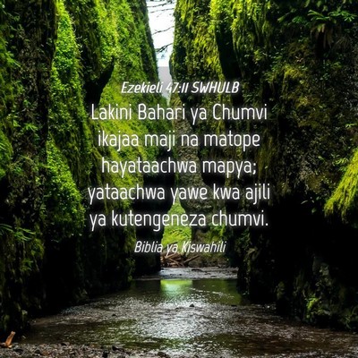 Picture 04 - Ezekieli 47:11 SWHULB - Lakini Bahari ya Chumvi ikajaa maji na matope - Bible Verse Picture