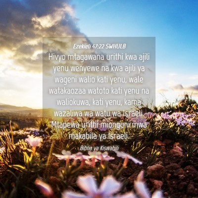 Picture 04 - Ezekieli 47:22 SWHULB - Hivyo mtagawana urithi kwa ajili yenu wenyewe na - Bible Verse Picture