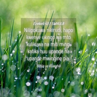 Picture 04 - Ezekieli 47:7 SWHULB - Nilipokuwa nikirudi, hapo kwenye ukingo wa mto - Bible Verse Picture
