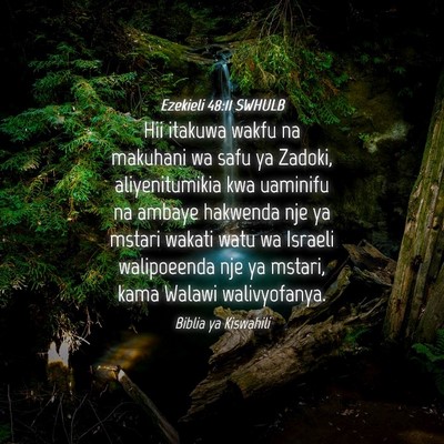 Picture 04 - Ezekieli 48:11 SWHULB - Hii itakuwa wakfu na makuhani wa safu ya Zadoki, - Bible Verse Picture