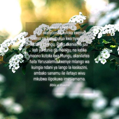 Picture 04 - Ezekieli 8:3 SWHULB - Kisha akanyoosha kutoka kwenye mkono na - Bible Verse Picture