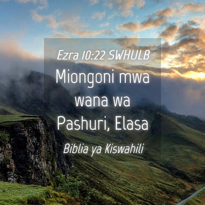 Picture 04 - Ezra 10:22 SWHULB - Miongoni mwa wana wa Pashuri, - Bible Verse Picture