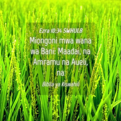 Picture 04 - Ezra 10:34 SWHULB - Miongoni mwa wana wa Bani: Maadai, na Amramu na - Bible Verse Picture