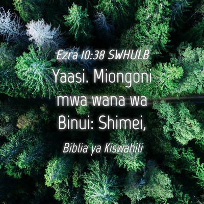 Picture 04 - Ezra 10:38 SWHULB - Yaasi. Miongoni mwa wana wa Binui: - Bible Verse Picture