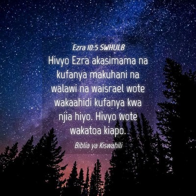 Picture 04 - Ezra 10:5 SWHULB - Hivyo Ezra akasimama na kufanya makuhani na - Bible Verse Picture