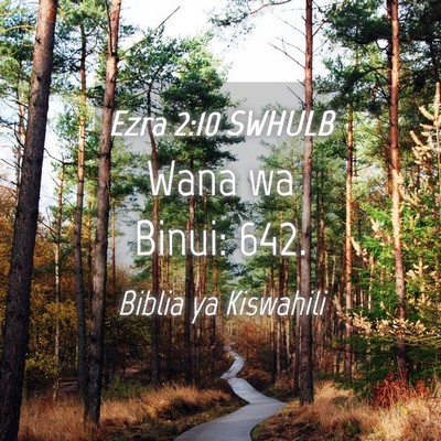 Picture 04 - Ezra 2:10 SWHULB - Wana wa Binui: - Bible Verse Picture