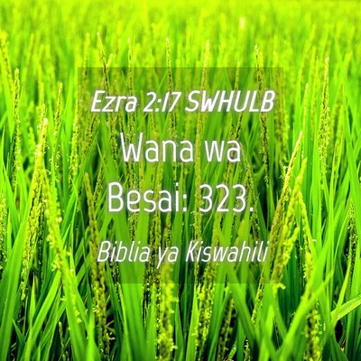 Picture 04 - Ezra 2:17 SWHULB - Wana wa Besai: - Bible Verse Picture