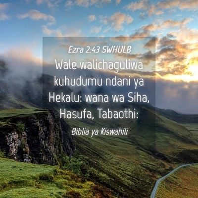 Picture 04 - Ezra 2:43 SWHULB - Wale walichaguliwa kuhudumu ndani ya Hekalu: wana - Bible Verse Picture