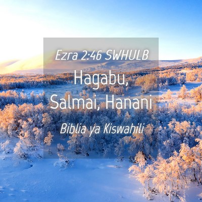 Picture 04 - Ezra 2:46 SWHULB - Hagabu, Salmai, - Bible Verse Picture