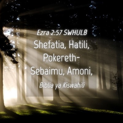 Picture 04 - Ezra 2:57 SWHULB - Shefatia, Hatili, Pokereth-Sebaimu, - Bible Verse Picture