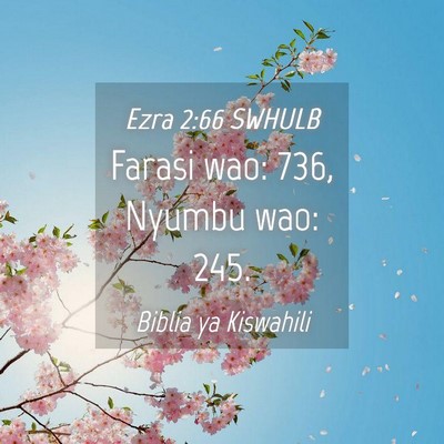 Picture 04 - Ezra 2:66 SWHULB - Farasi wao: 736, Nyumbu wao: - Bible Verse Picture