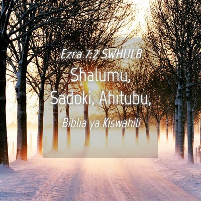 Picture 04 - Ezra 7:2 SWHULB - Shalumu, Sadoki, - Bible Verse Picture