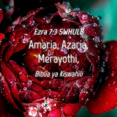 Picture 04 - Ezra 7:3 SWHULB - Amaria, Azaria, - Bible Verse Picture