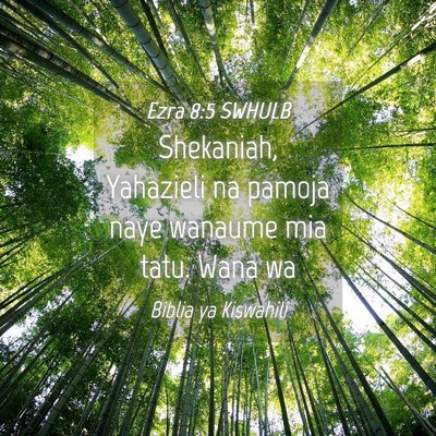 Picture 04 - Ezra 8:5 SWHULB - Shekaniah, Yahazieli na pamoja naye wanaume mia - Bible Verse Picture
