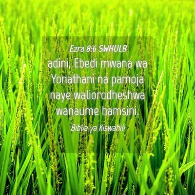 Picture 04 - Ezra 8:6 SWHULB - adini, Ebedi mwana wa Yonathani na pamoja naye - Bible Verse Picture