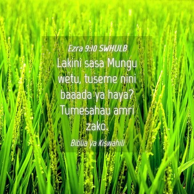 Picture 04 - Ezra 9:10 SWHULB - Lakini sasa Mungu wetu, tuseme nini baaada ya - Bible Verse Picture